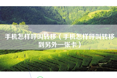 手机怎样呼叫转移(手机怎样呼叫转移到另外一张卡)