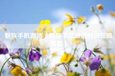 魅族手机激活(魅族手机激活时间在哪里看)